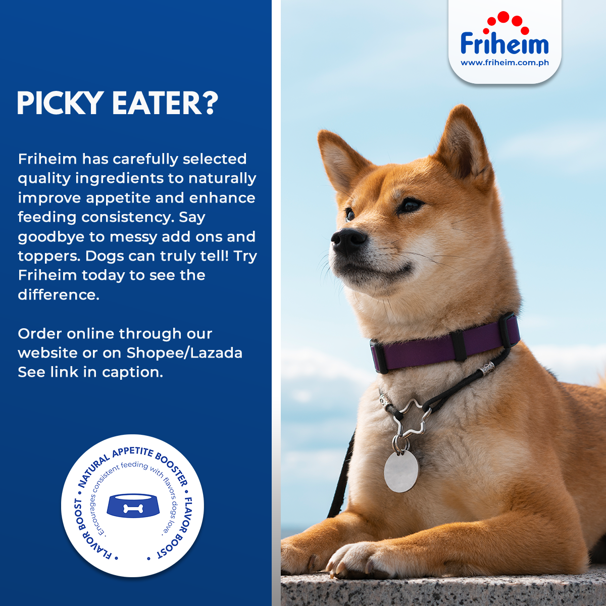 Oakshire Adult (2kg)